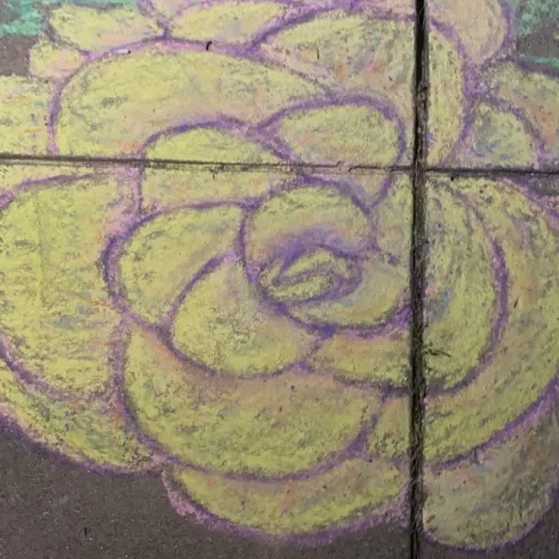 creator Mother Natural's avatar
