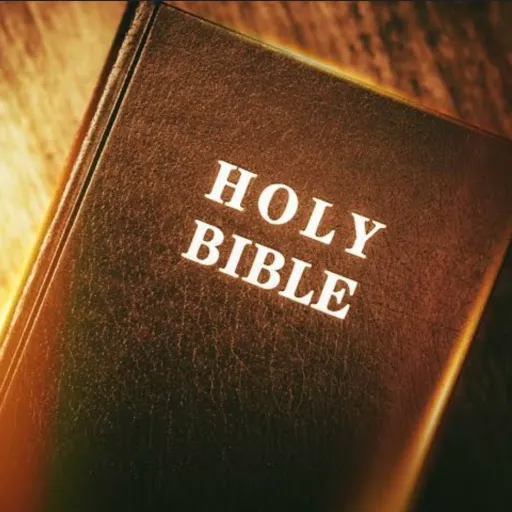 creator ✝️Bella✝️'s avatar
