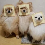 creator Super ca's avatar