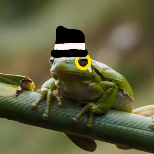 creator Guard cat's avatar