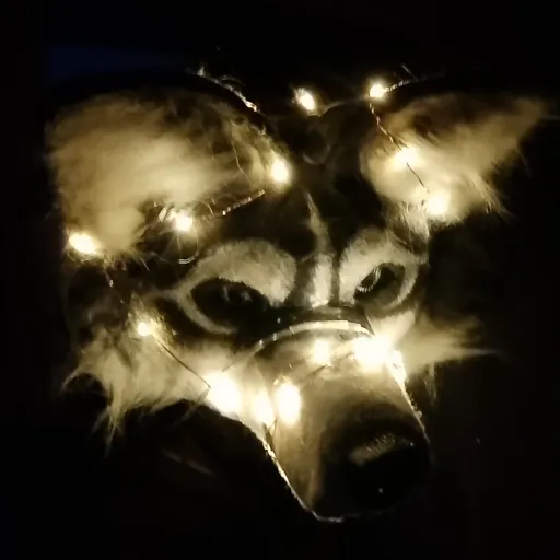creator 🌑German_coyote🌑's avatar