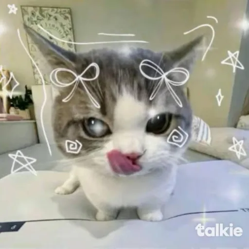talkie's author avatar