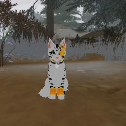 creator Sunny cat🐱❤️'s avatar