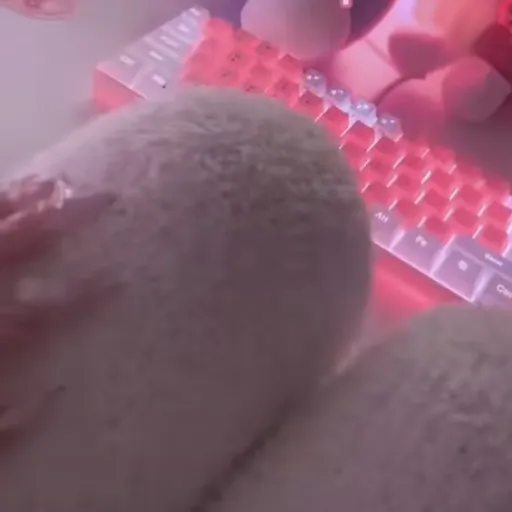 creator AfterDark's avatar