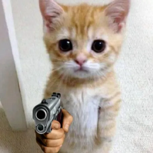 creator I am going to kill's avatar