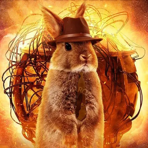 talkie's author avatar