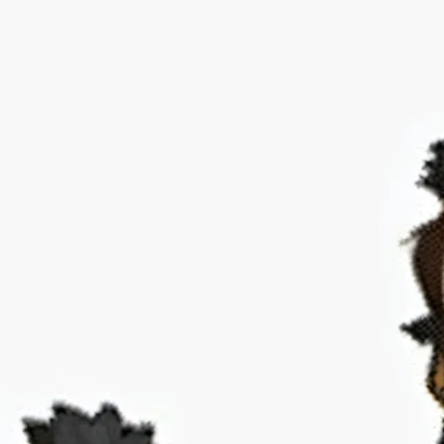 chat with ai character: Mauga (srry for bg