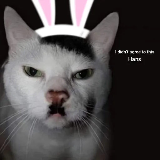 creator Kitler.'s avatar