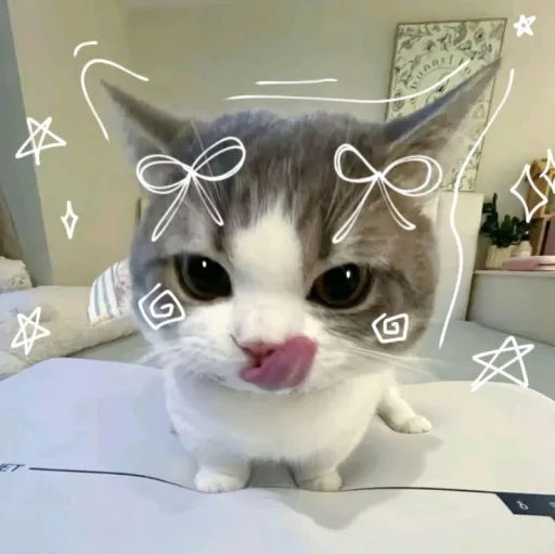 creator ☆彡✿Jul✿ ミミ☆'s avatar