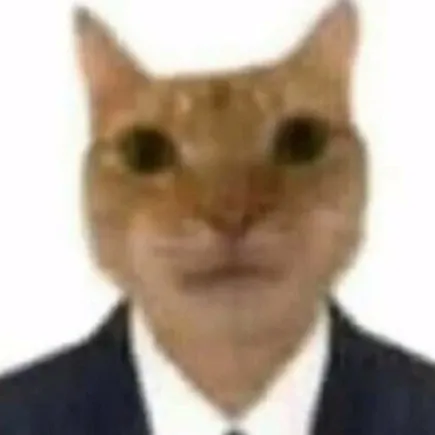 creator stronkturtle224's avatar