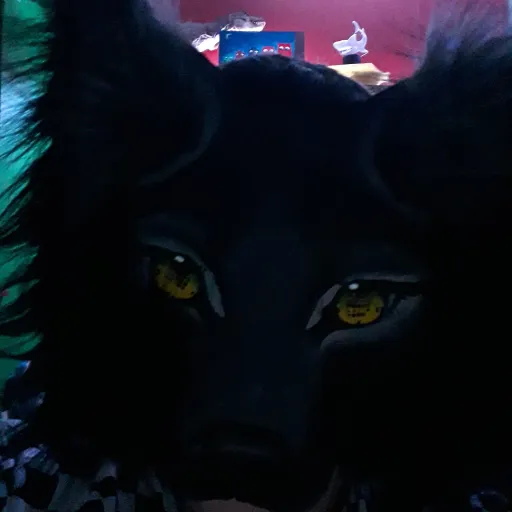 creator the midnight guy's avatar