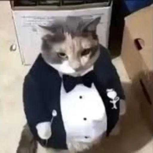 creator GatoGod's avatar