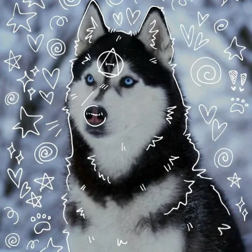 creator 𖤐al_on_paw5𖤐's avatar
