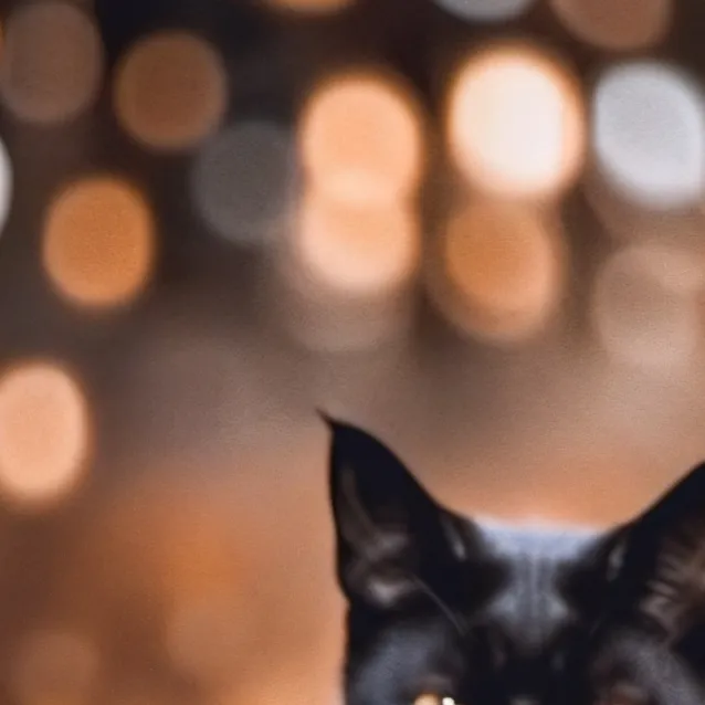 chat with ai character: ur aunt's cat