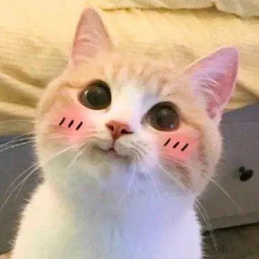 creator gatansauwu's avatar