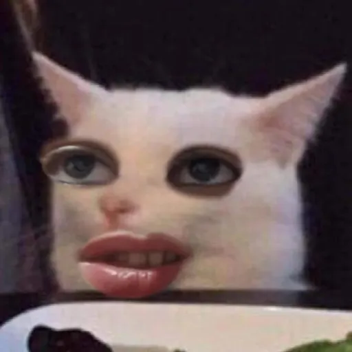 creator acidic lady's avatar
