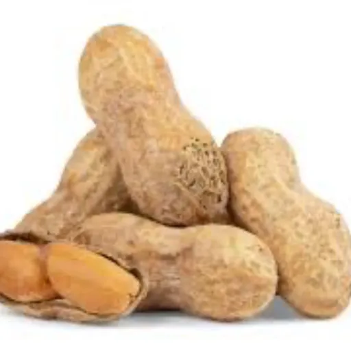creator 🥜~Peanut~🥜's avatar