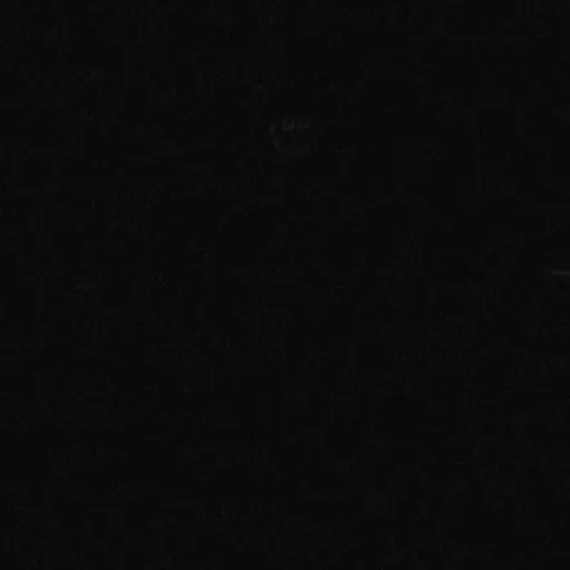 creator ¡☆~ARSONIST~☆¡'s avatar