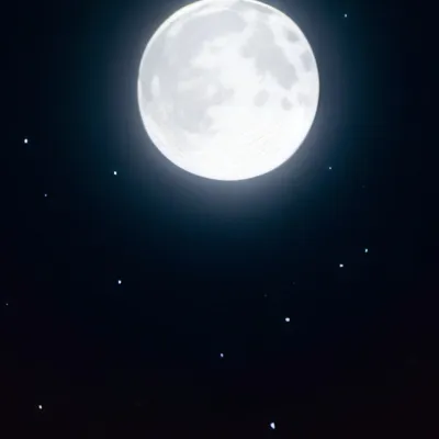 chat with ai character: MHA 