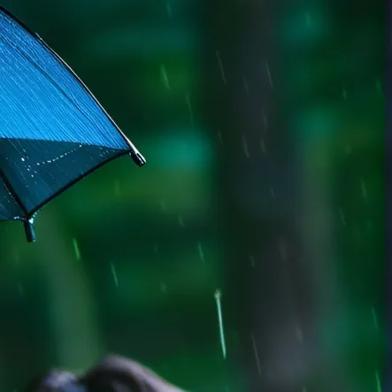 chat with ai character: S.tray.K.id.s