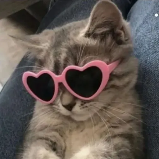 creator puthie's avatar