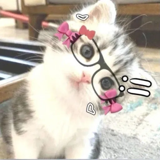 creator Urx_ch1ck3nx's avatar