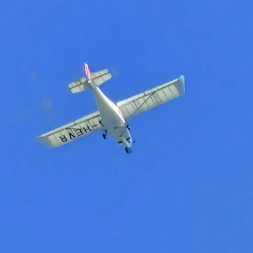 creator the airplane love's avatar