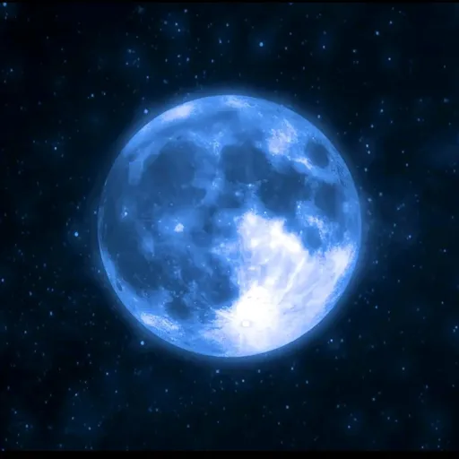 creator moonlight>33's avatar