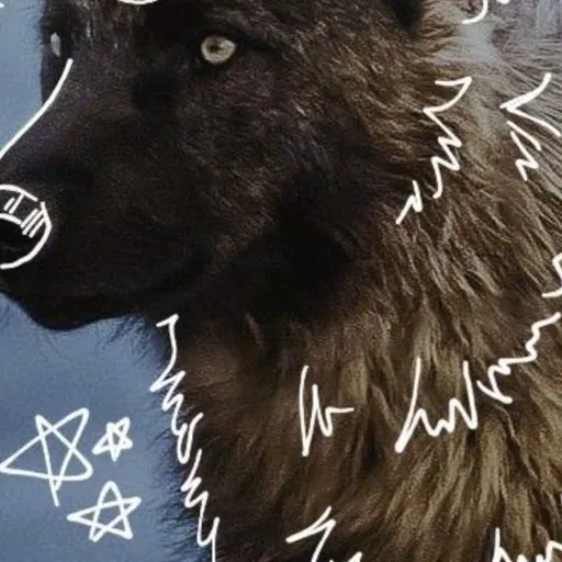 creator ♪𝓚𝓪𝔂𝓵𝓪 ℴ𝓃♪ 𝒫𝒜𝒲 𝒵♪'s avatar