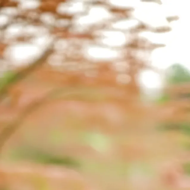 chat with ai character: kin