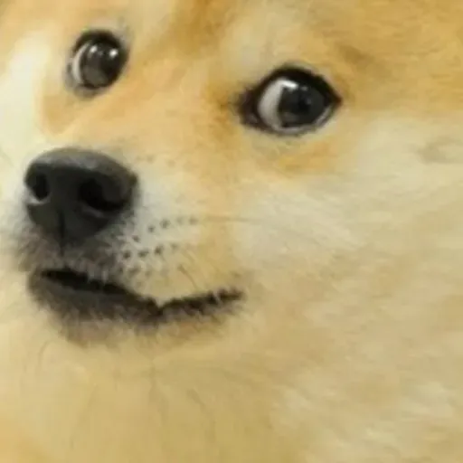 creator ~ANY0NE~'s avatar