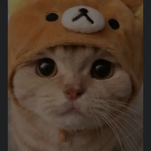 creator Sycther's avatar