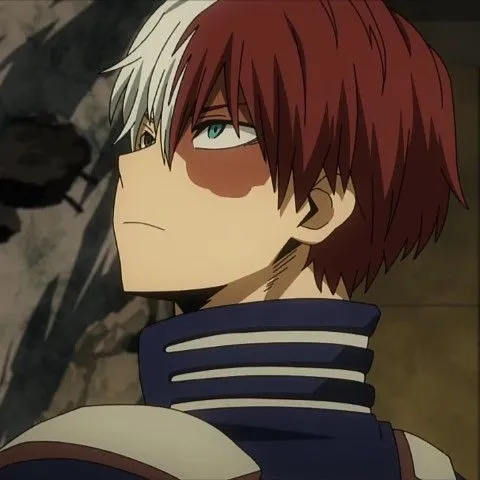 creator ★Shoto Todoroki ❆'s avatar