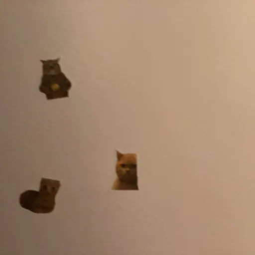 creator Wolf simp's avatar