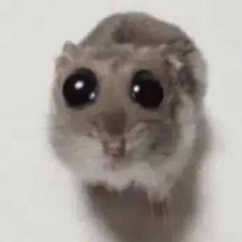 creator ℝ𝕚𝕫𝕫 𝕞𝕠𝕞's avatar