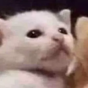 creator cat0.2k's avatar