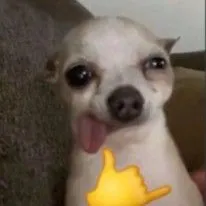 creator doggylover❤️'s avatar