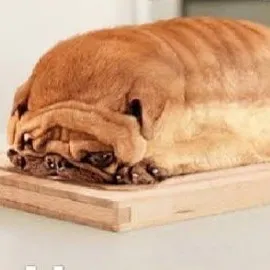 creator •Pug~Loaf•'s avatar
