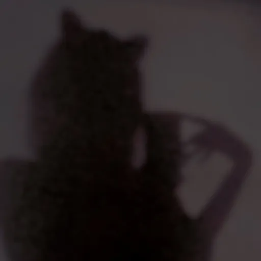 creator Dark ShadowMissKim's avatar