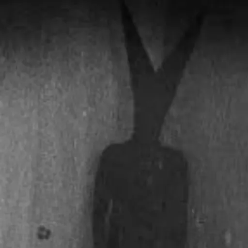 creator themysteryofheart's avatar