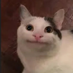 creator Beluga2024's avatar