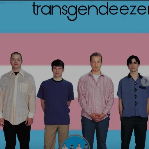 creator your fav trans's avatar