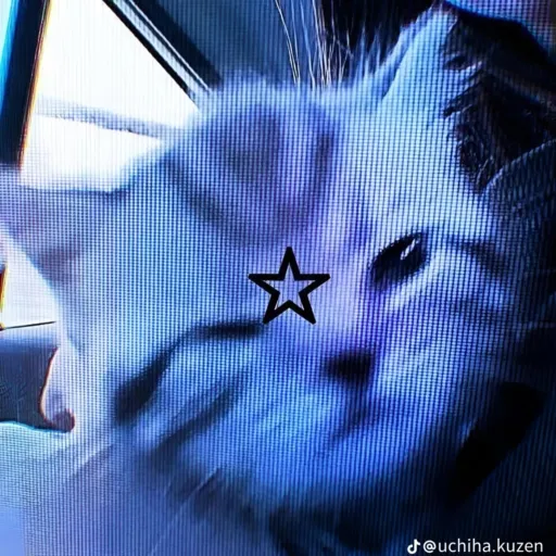 creator ★Nico di Angelo★'s avatar