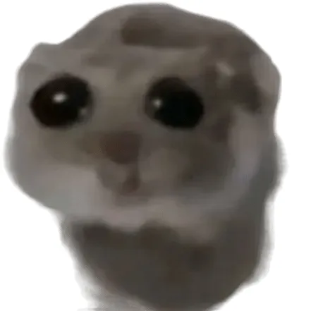 creator Lil ham's avatar