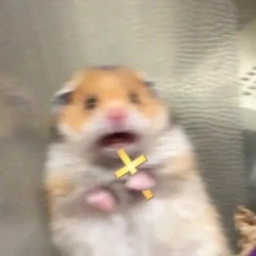 creator Auroraᐠ(ᐛ)ᐟ's avatar