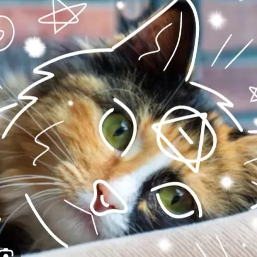 creator . ⃝⃤.Dot. ⃝⃤.'s avatar