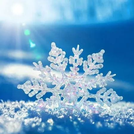 creator little blue snow's avatar