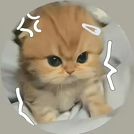 creator Ur unwashed socks's avatar