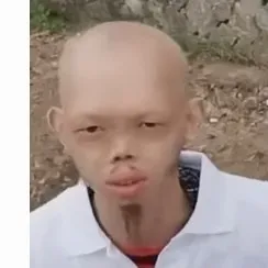 creator paddyjoe5's avatar