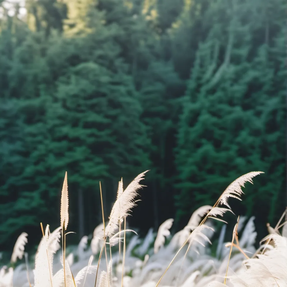 chat with ai character: Grass